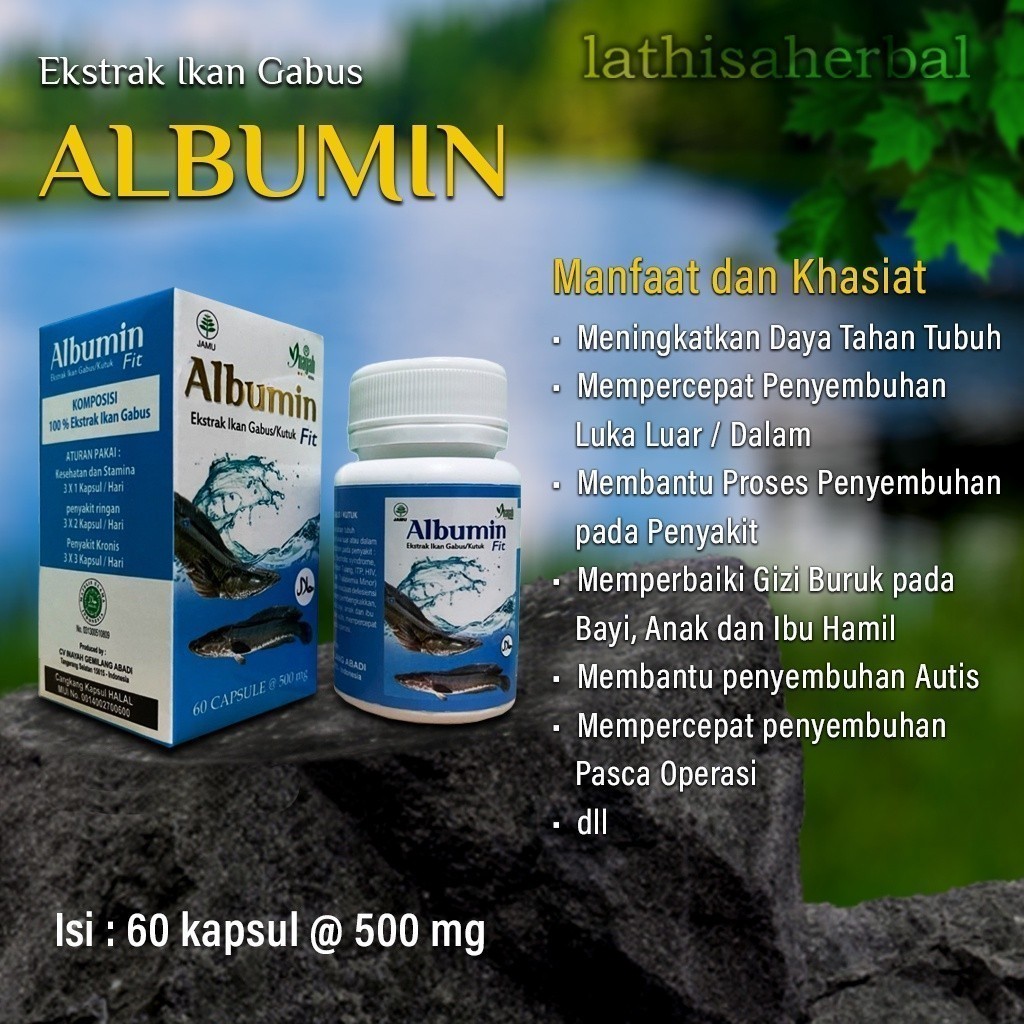 Kapsul Ikan Gabus Albumin Pasca Operasi Caesar
