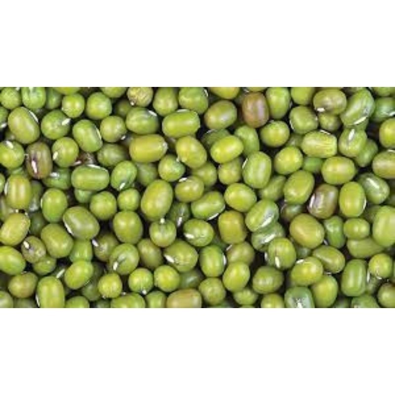 

bisa cod Jual Biji Kacang Hijau /1kg NY
