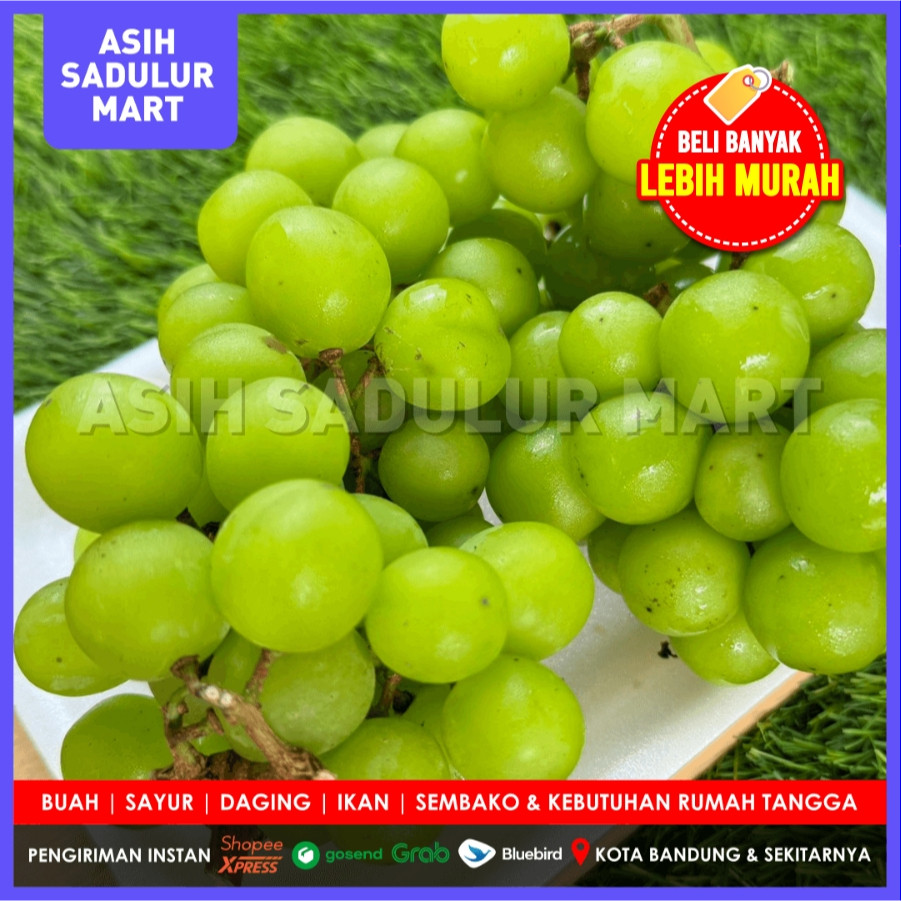 

Anggur Muscat Hijau Segar Manis 500gr Promo Murah | Asih Sadulur Mart
