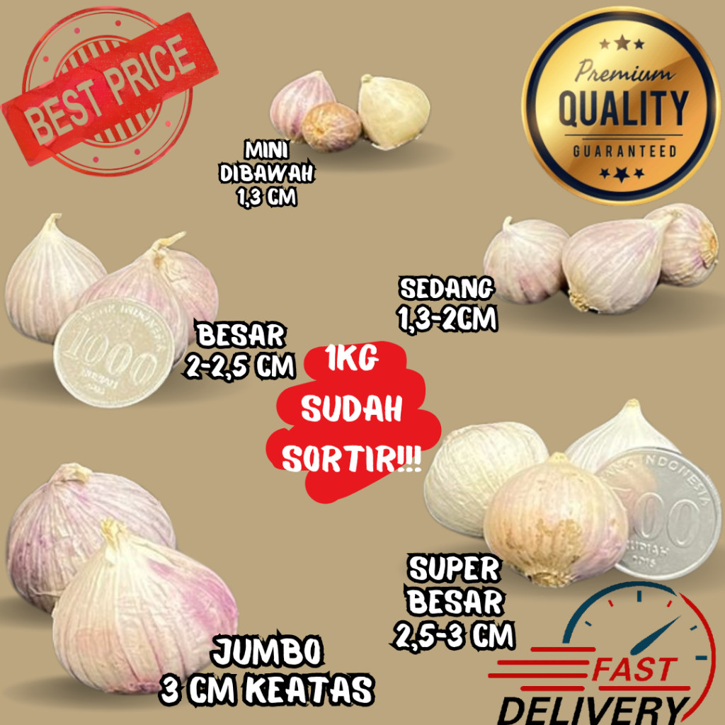 

Bawang Tunggal Super Fresh Import / Bawang Lanang / Solo Garlic / Bahan Baku Jus Bawang / Bahan Baku Black Garlic / Single Clove Garlic / Bawang Putih Tunggal / Pearl Garlic /