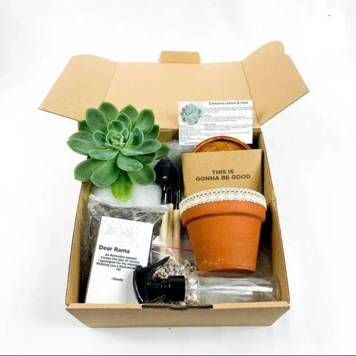 

DISKON Preium Hampers Kaktus & Sukulen Hias Mini (Paket 2)