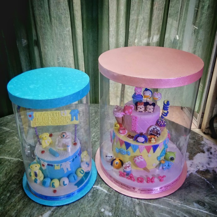 

cake box tinggi / cake box mika ukuran D30 X T45 - Putih Putih