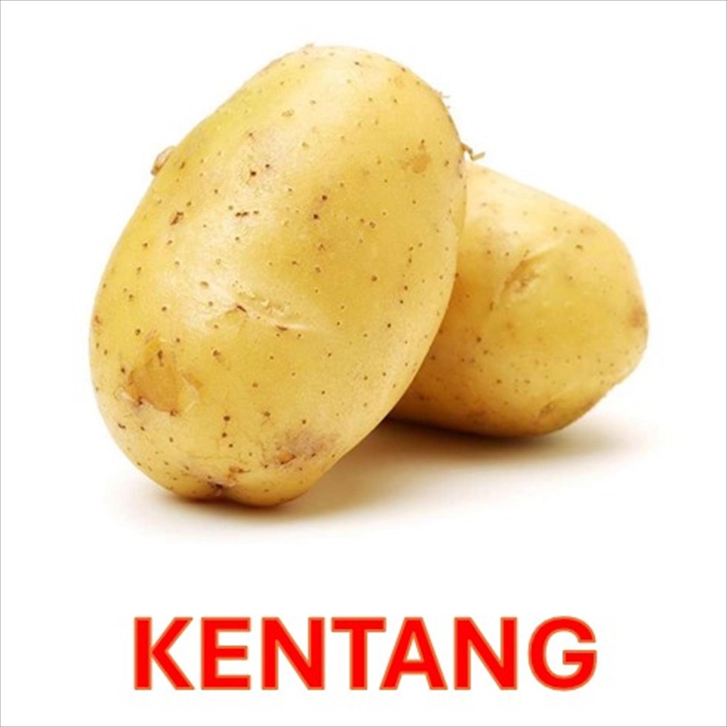 

KENTANG BESAR FRESH / KENTANG SEGAR / HARGA PER 500 GR