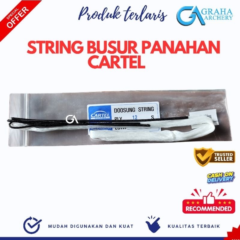 STRING BUSUR PANAHAN CARTEL IMPOR