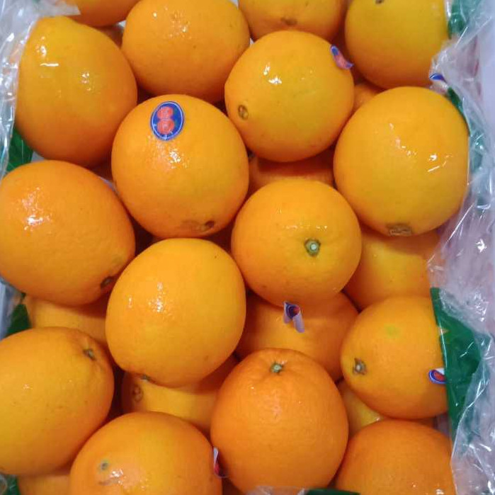 

JERUK / ORANGE NAVEL FRESH IMPORT