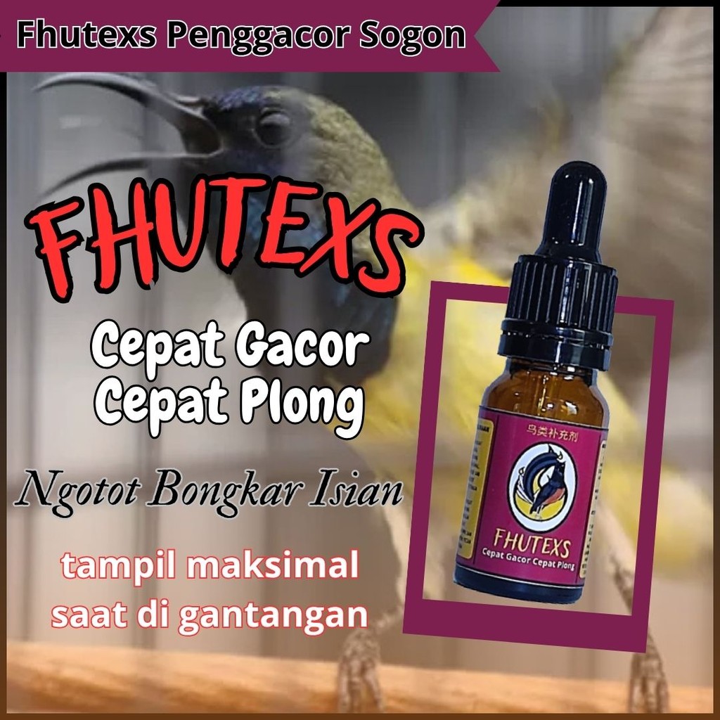 Essence Gacor Burung Sogon – Doping Seketika, Cocok Harian & Lomba