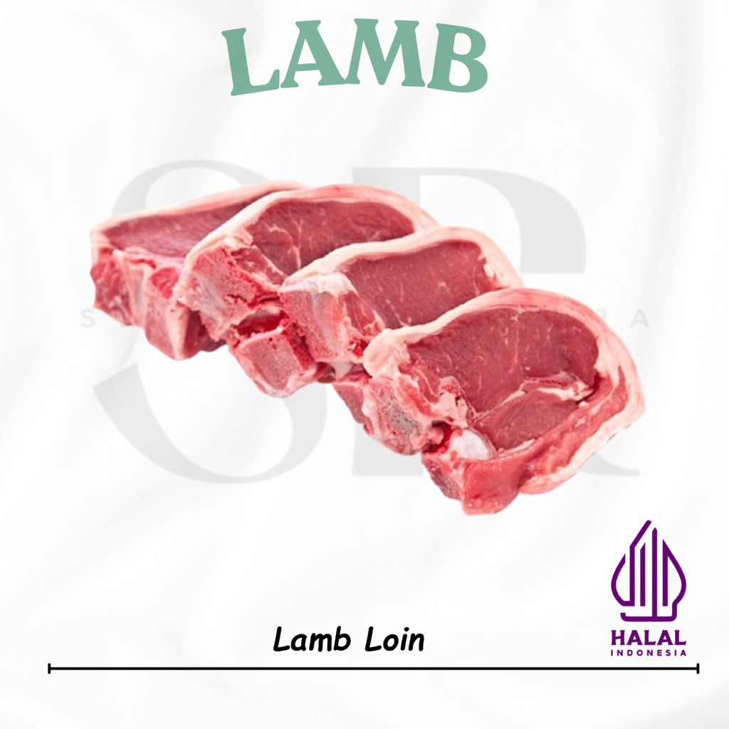 

Lamb Loin Steak Daging Steak Domba Impor AUS 500-1Kg Frozen Tangerang Selatan