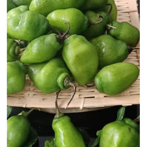 

HOT PROMO cabe gendot bandung cabai bendot bandung super pedas 1kg cabai setan