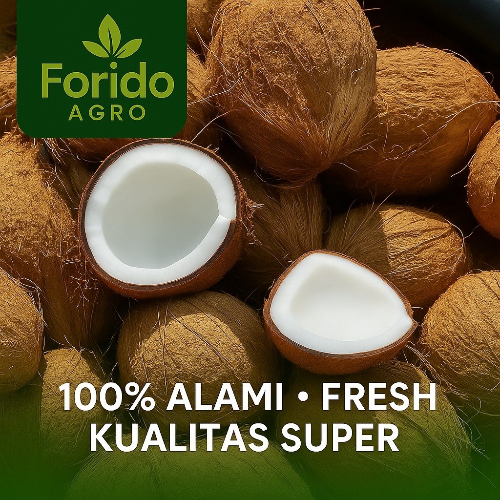 

Kelapa Tua Fresh 100% Alami Kelapa Tua Siap Parut 1 Butir Ukuran Besar Kelapa Fresh Kualitas Super