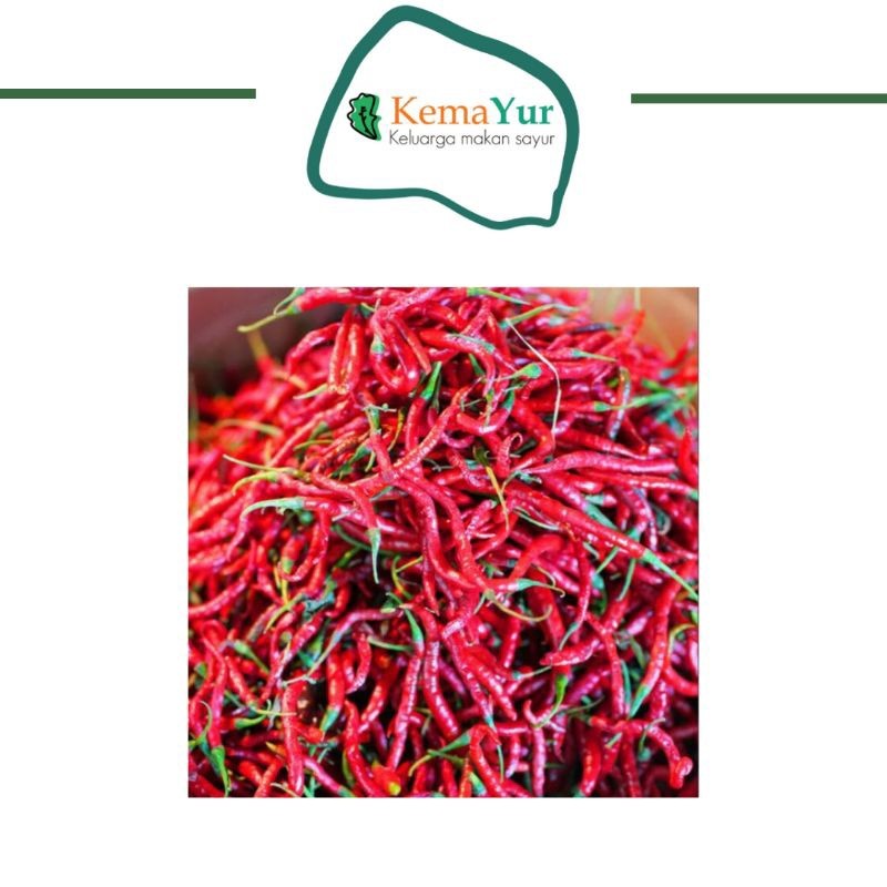 

CABE KERITING MERAH GROSIR 1KG MURAH