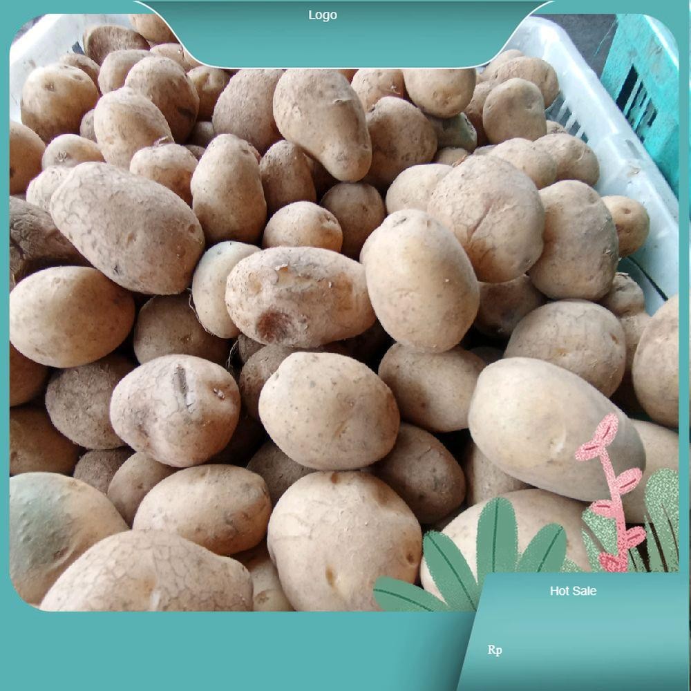 kentang granola dieng kentang dieng granola Potato