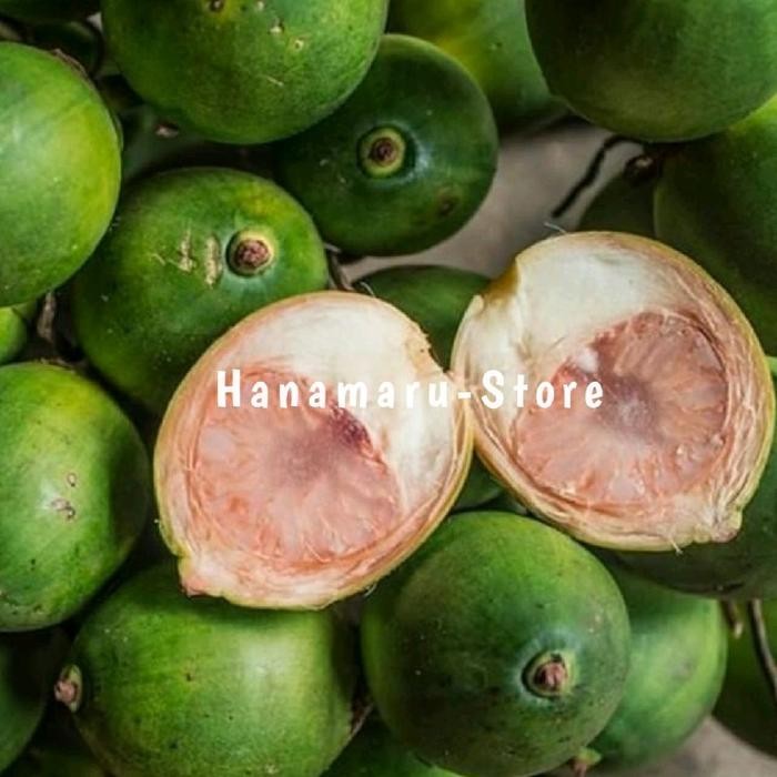 

Buah pinang muda kualitas super 1kg