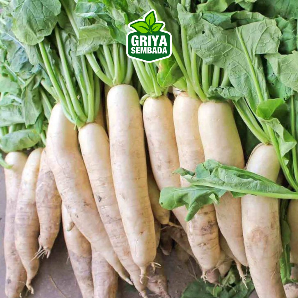 

Lobak Putih Fresh 1kg