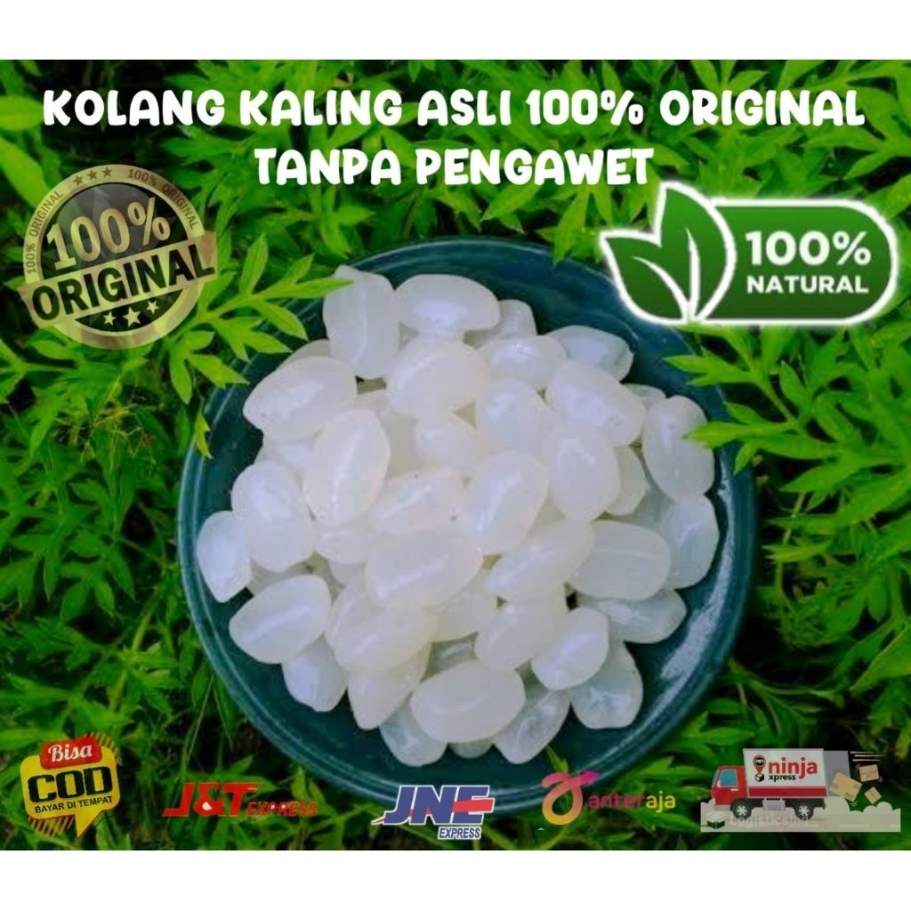 

Biji kolang kaling super besar & kenyal 1kg 100% alami tanpa bahan pengawet