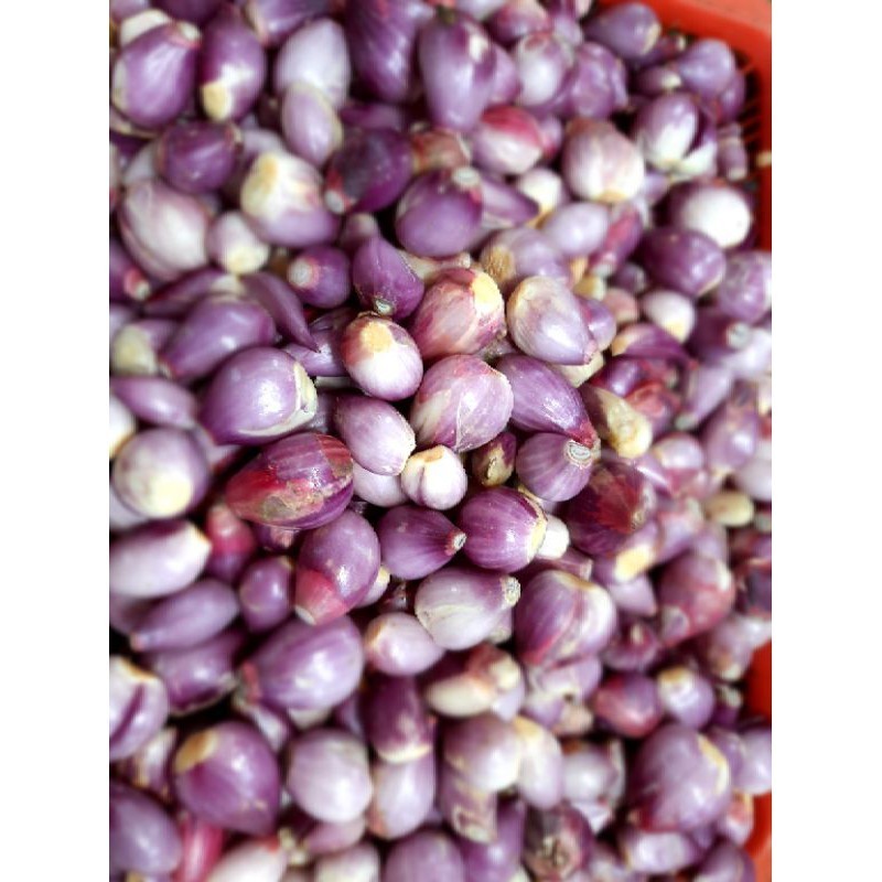 

Bawang Merah Kupas 1 kg