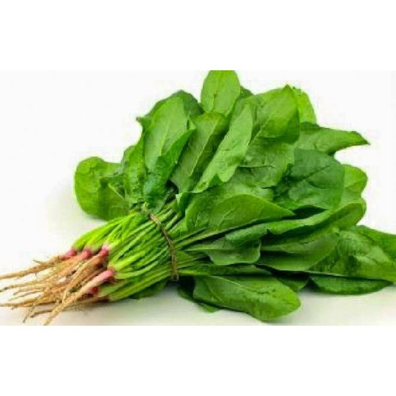 

Bayam Segar per Ikat