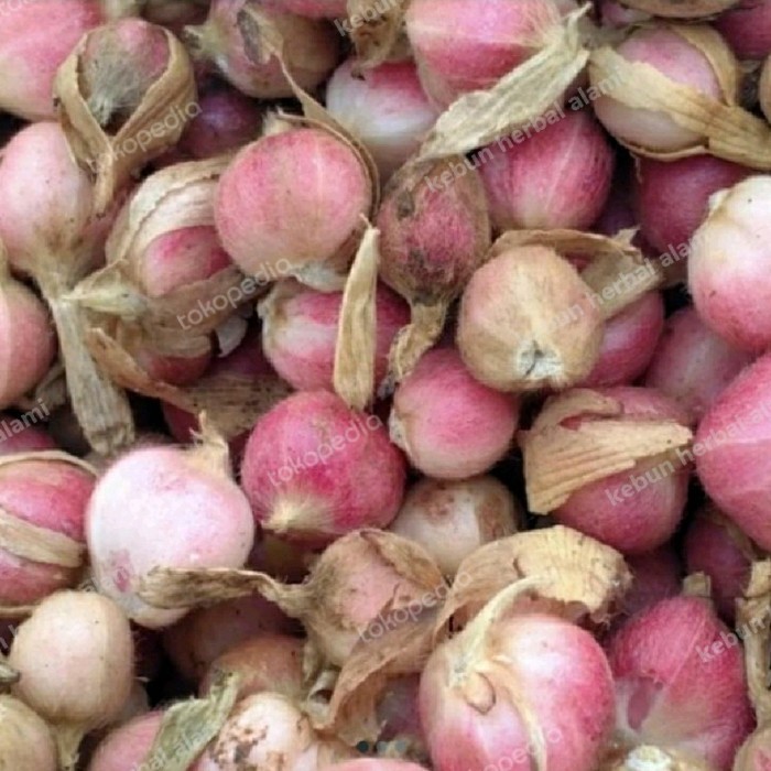 

buah kapolaga segar 250grm