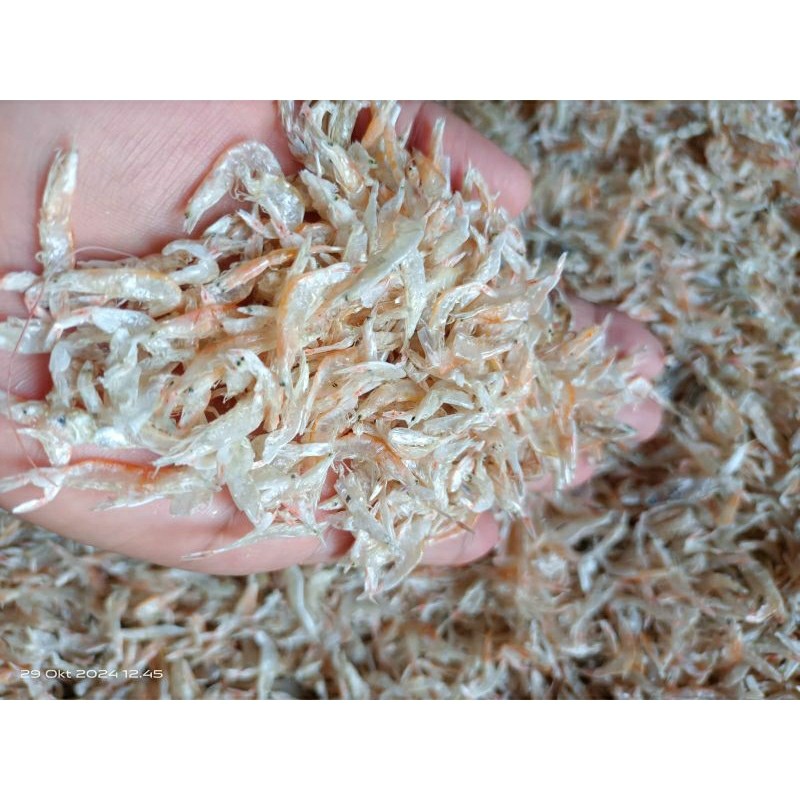 udang rebon kering /udang kecil kering/grago