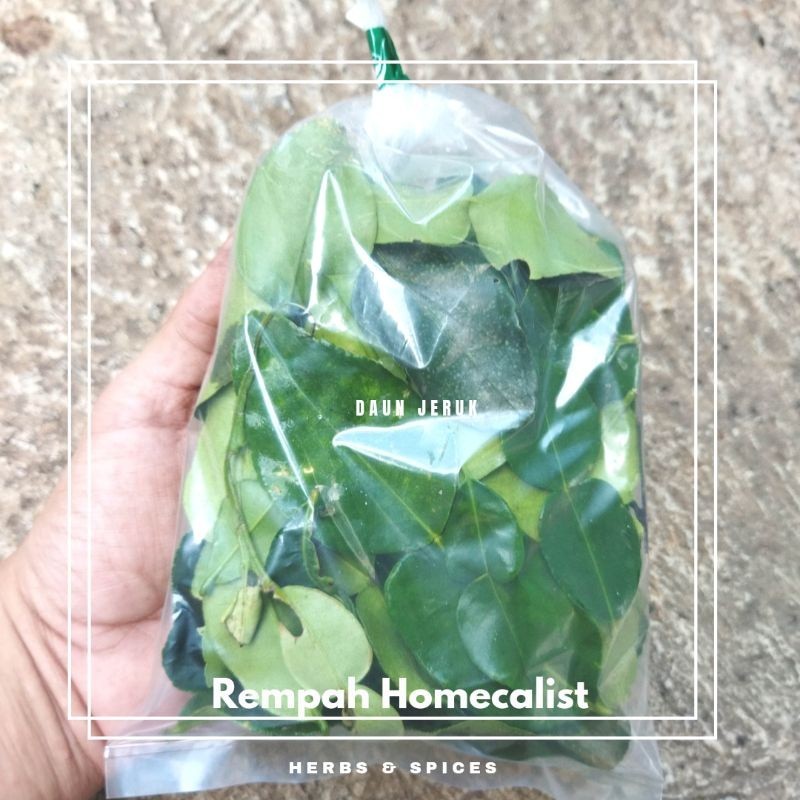 

Daun Jeruk Segar 50gr Daun Jeruk Purut