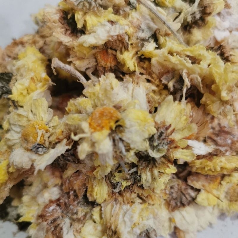 Chrysanthemum bunga Krisan 100gram teh kembang herbal crysan seruni Untuk panas dalam yang di sertai
