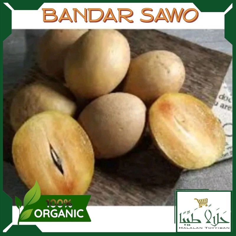 

BANDAR Sawo fresh 500gr