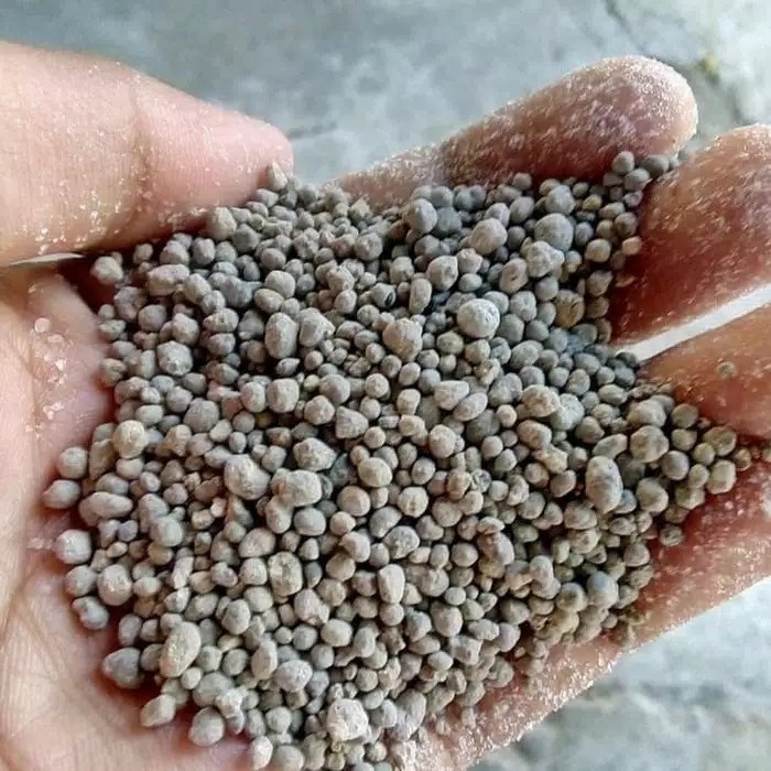 pupuk TSP SP36 Grosir Pupuk TSP - SP36 Pupuk Sp-36 /Super-Phospat 36% 1kg