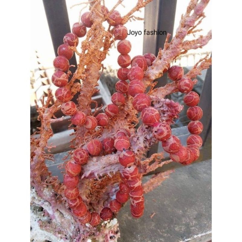 GELANG TASBIH FOSIL BATU MARJAN LAUT MERAH NATURAL