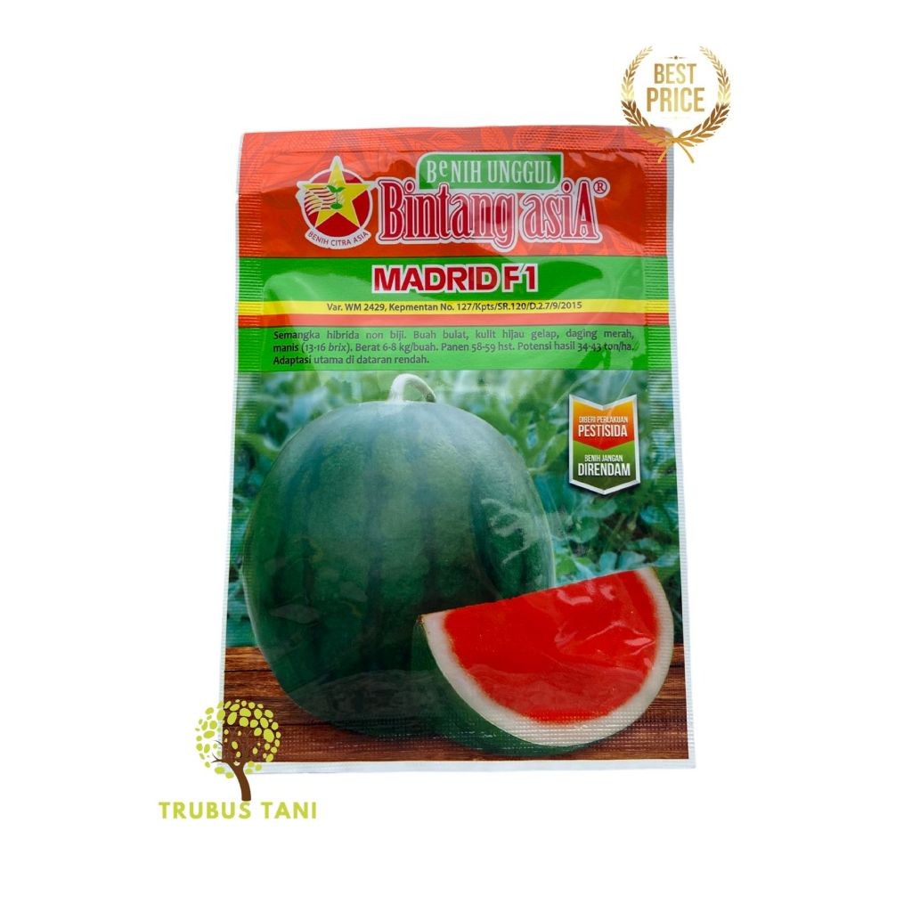 SEMANGKA 3N MADRID F1// BINTANG ASIA