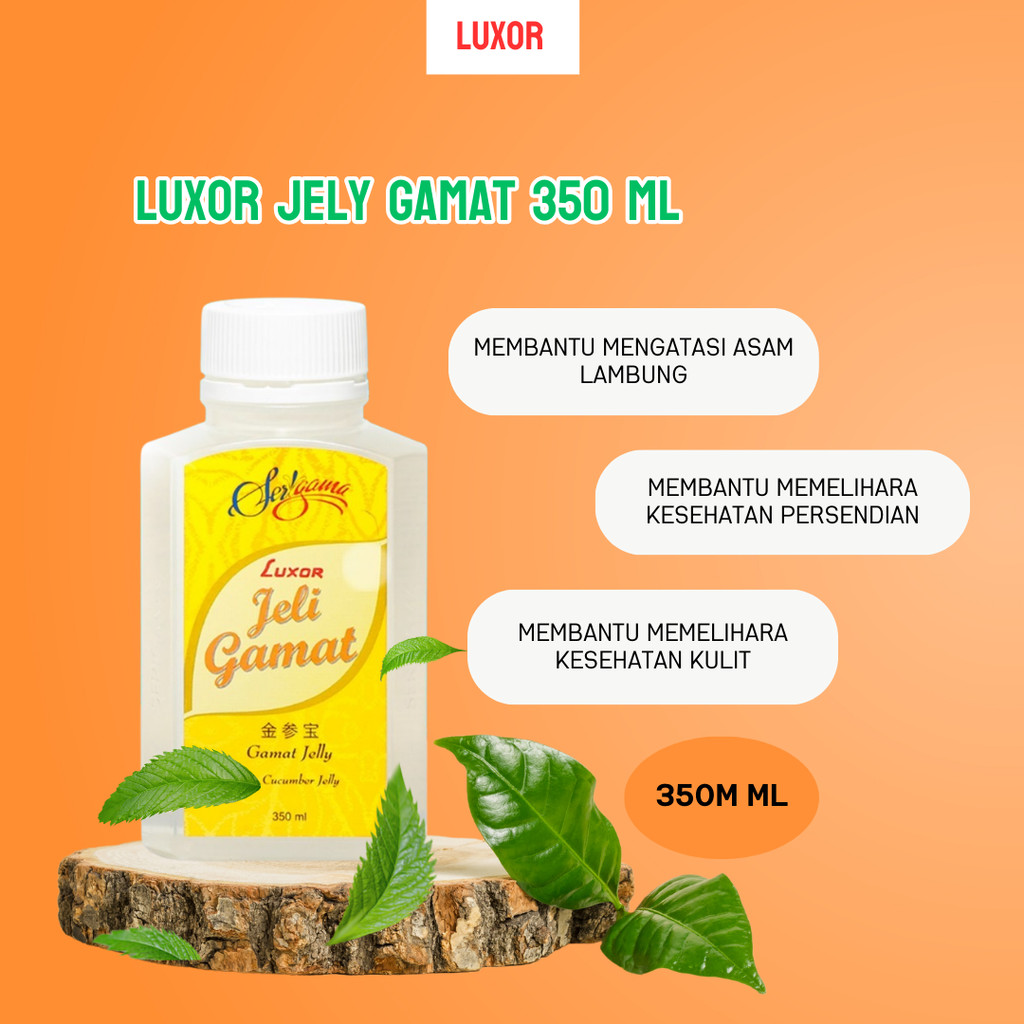 Jelly Gamat Sea Cucumbar | Luxor 350 Ml | Jeli Gamat Emas Serigama