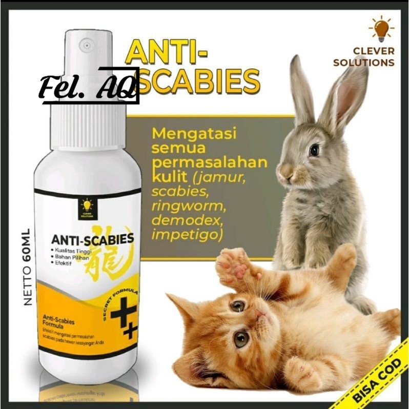 Anti Scabies 60ml Obat Jamur Kucing Kelinci Demodex Impetigo Skabies Kutu Cacing Hati Gatal Jamuran 