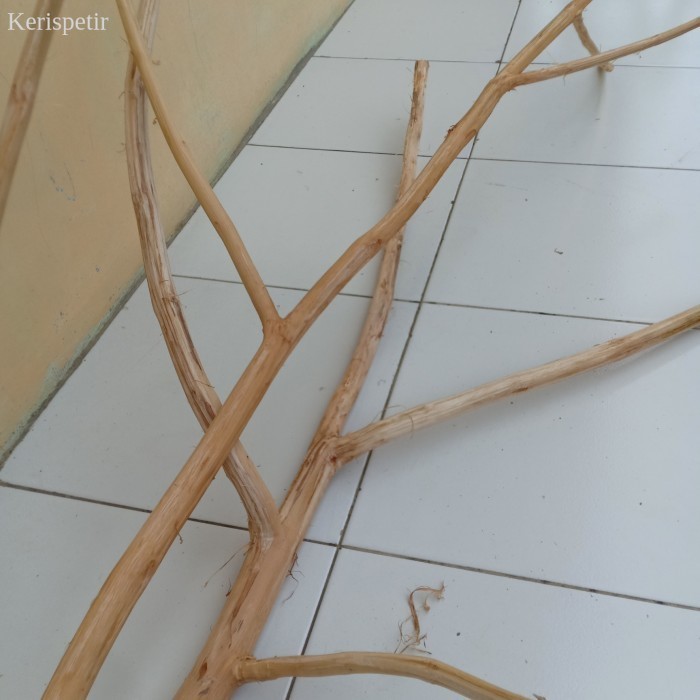 

bisa COD ranting jati cabang bersih-tangkringan burung-dekorasi murah murah