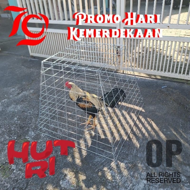 JU87Y Kandang kurungan ayam lipat galvanis