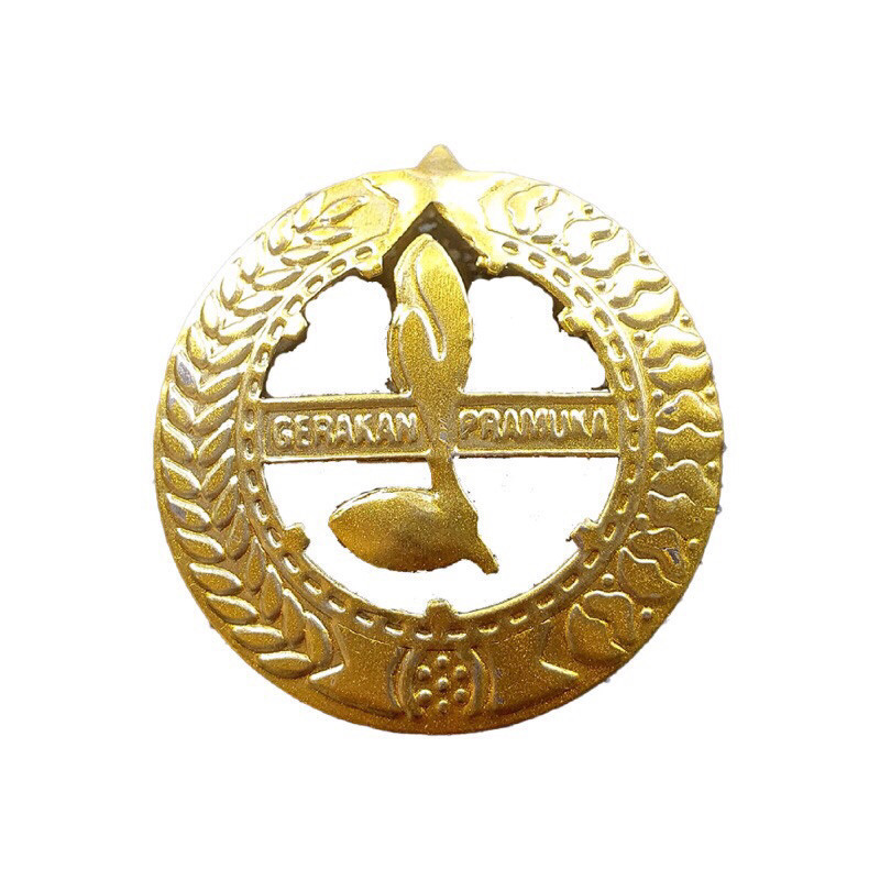 Pin Pembina Pramuka, Putra