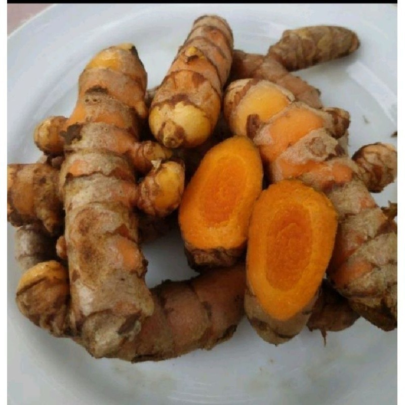 

Promo Kunyit Masak/Kunir/kunyit Kuning/Rempah Alami Bumbu Masak Masih Fresh/Segar /500grm Rege_Herbal