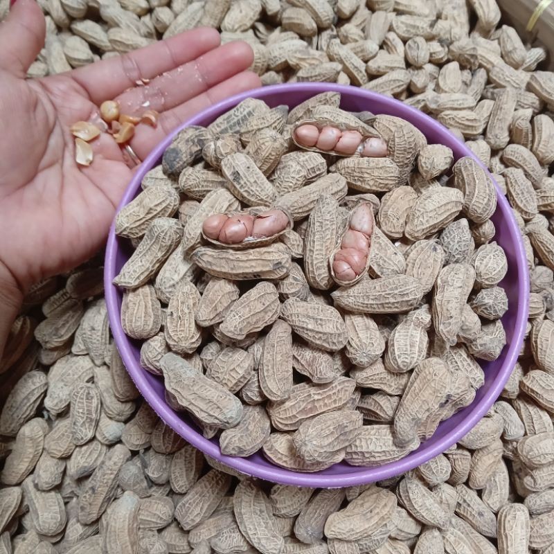 

Kacang Sangrai cirebon Gurih