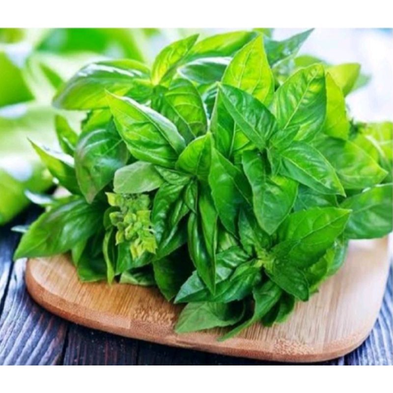 

Daun kemangi fresh 100g Herbal COD