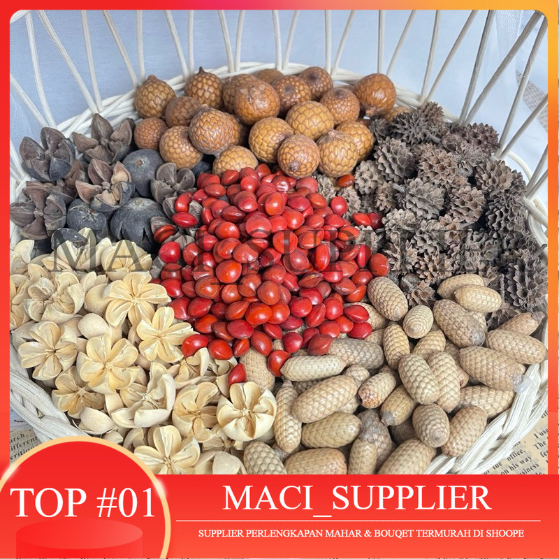 

MACISUPPLIER 1 PACK BIJI BIJIAN BAHAN KERAJINAN BAHAN MAHAR PROPERTI FOTO PROPERTI FOTOGRAFI DEKORASI HIASAN RUSTIC RUSTIK