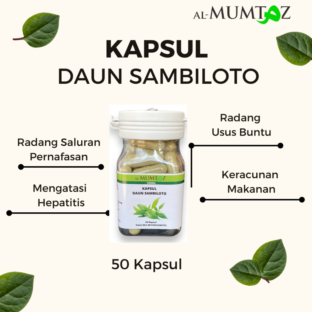 

Kapsul Sambiloto Asli Jamu Herbal Alami Original Bubuk Diabetes Kencing Manis Ginjal Gatal daya tahan tubuh