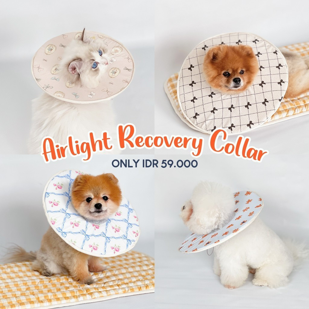 Airlight Pet Collar Lightweight / Soft Cone Protective Funnel for Dogs and Cats / Recovery Anti-Lick