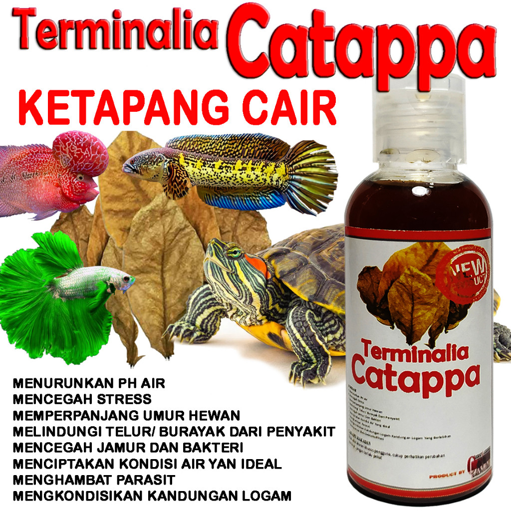 EKSTRAK DAUN KETAPANG CAIR X KAYU SECANG OBAT ALAMI HEWAN KURA-KURA AIR TURTLE TURTLES KURA-KURA AIR
