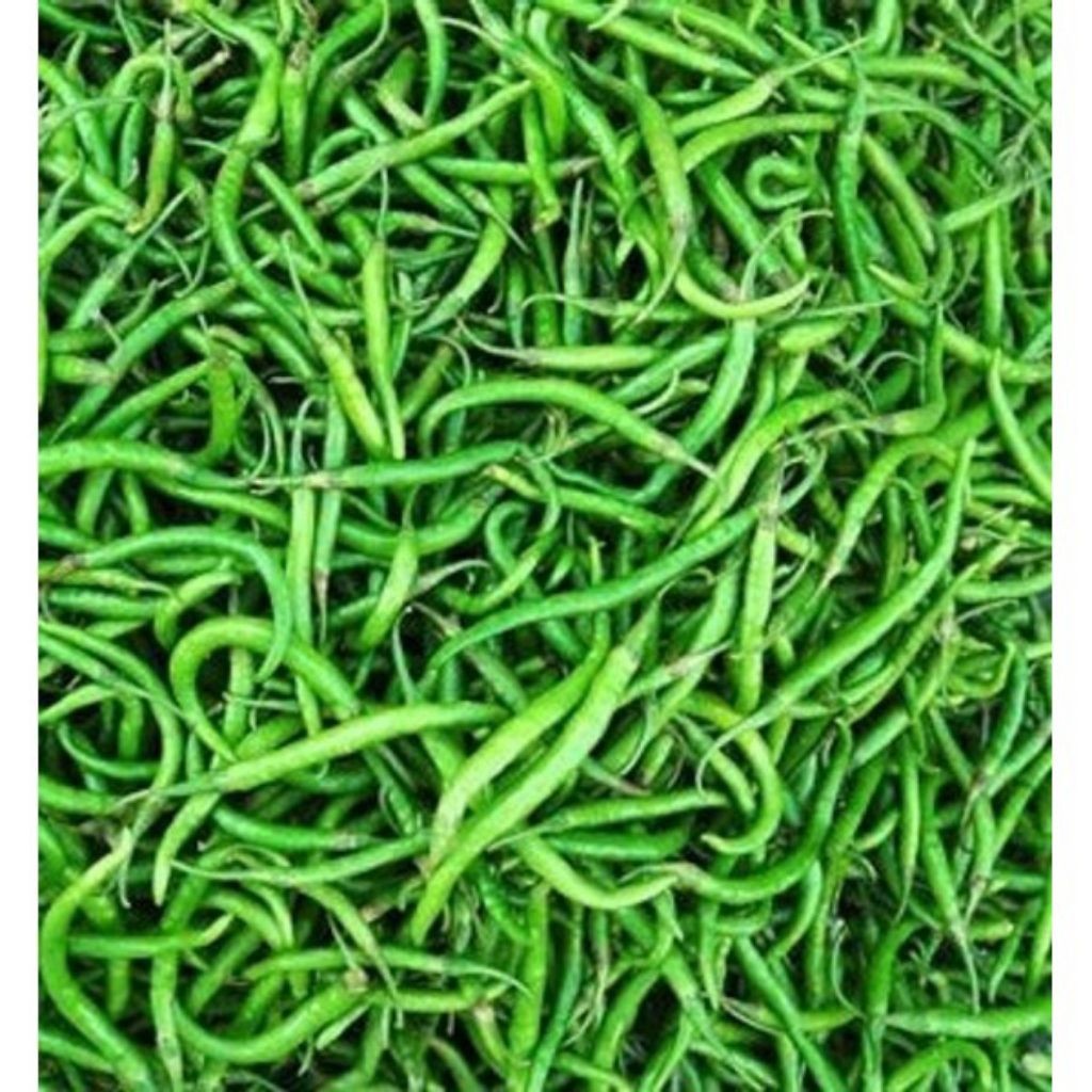 

1Kg Cabe Kriting Hijau Harga Murah