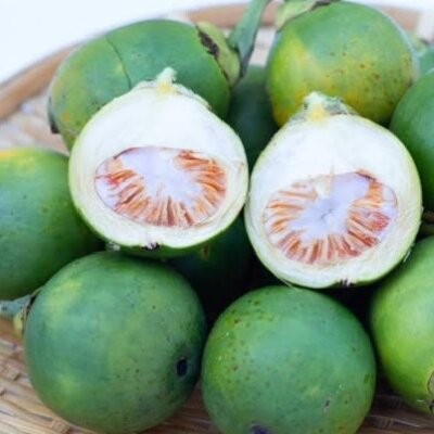 

COD Buah Pinang Muda/Jambe Muda Isi 1 KG