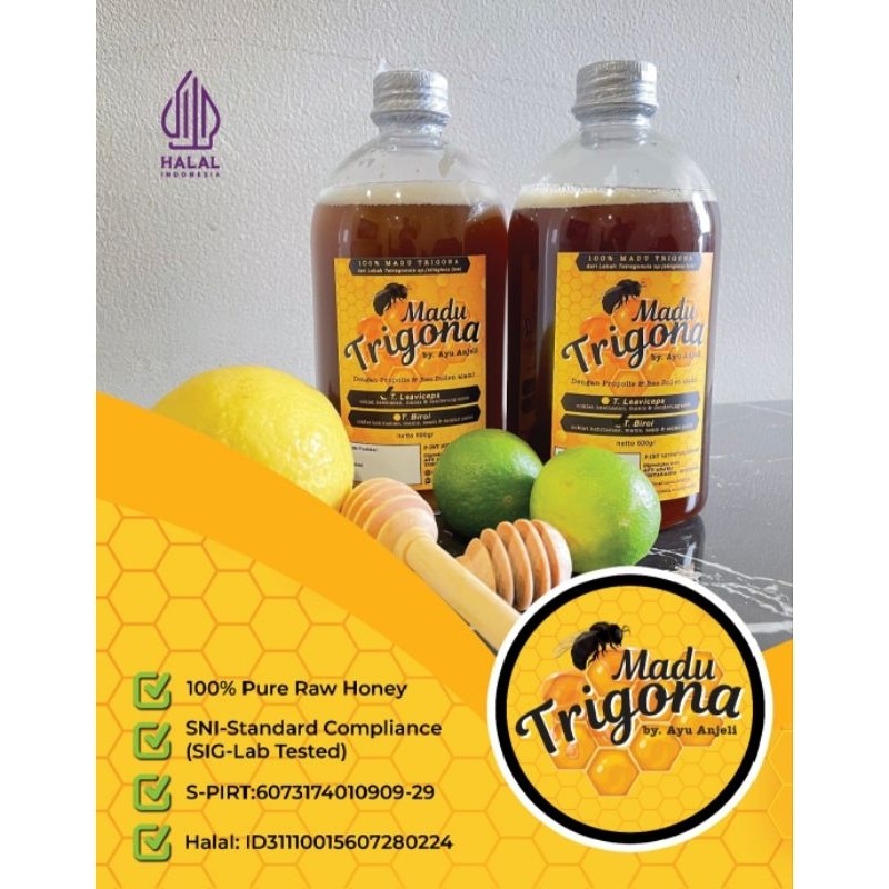 

Madu Klanceng / Trigona by Ayu Anjeli, 100% Asli Raw Honey