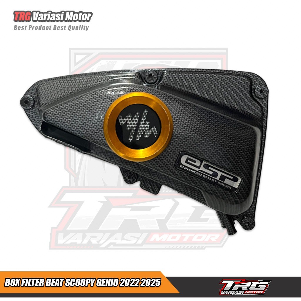 Box Filter Beat Deluxe Tutup Box Filter Beat Deluxe Carbon PNP Beat Sooopy Genio 2021 2025 Detak Put