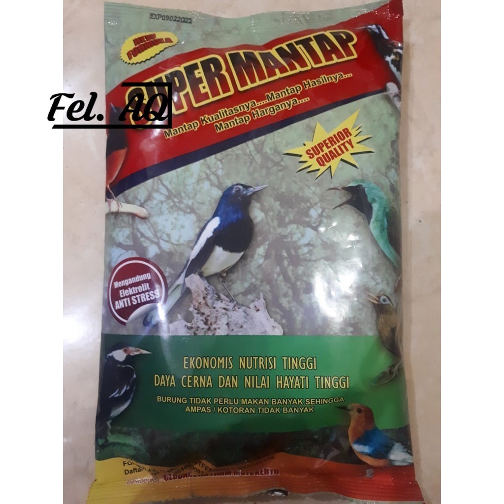 SUPER MANTAP SUPERFIT VOER PUR KASAR BURUNG MURAI KACER CUCAK JALAK CIBLEK HWAMEI ANIS CIBLEK POKSAY