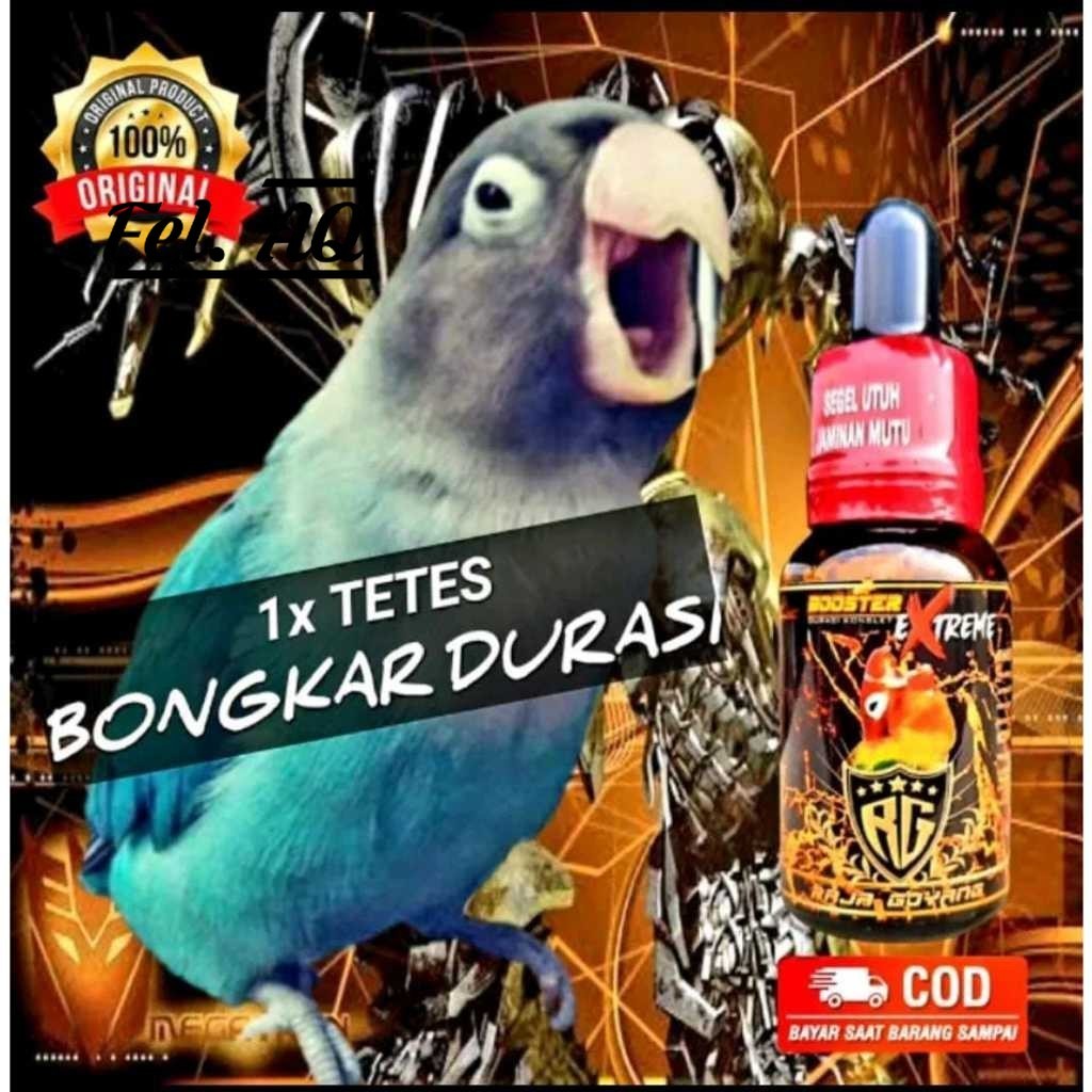 BOOSTER XTREME LOVEBIRD RG BOOSTER XTREME PENGGACOR BURUNG LOVEBIRD MURAH BERKUALITAS