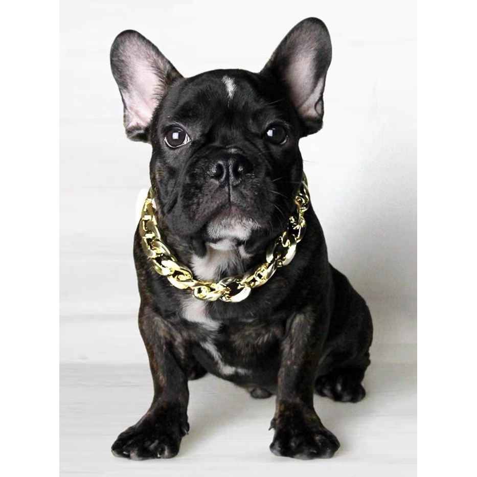 KALUNG RANTAI ANJING KUCING TIDAK PUDAR & DAPAT DI BESAR KECIL IMPOR - GOLD