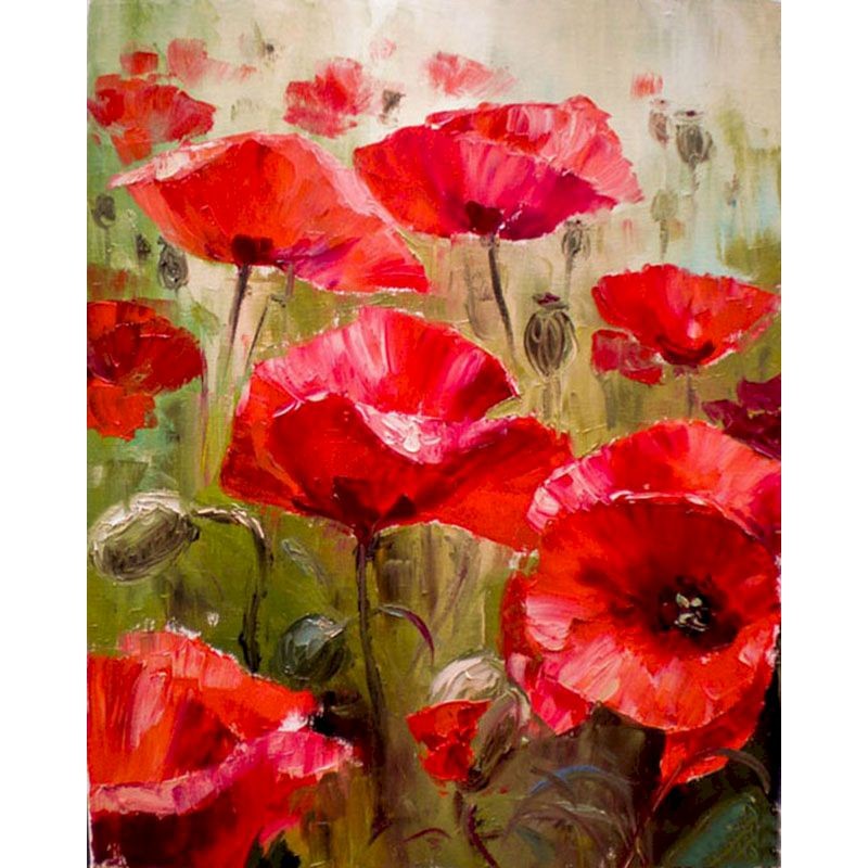 

GATYZTORY DIY Painting By Numbers Poppy Flowers HandPainted Oil Painting Drawing On Canvas Adults Child Home Decor