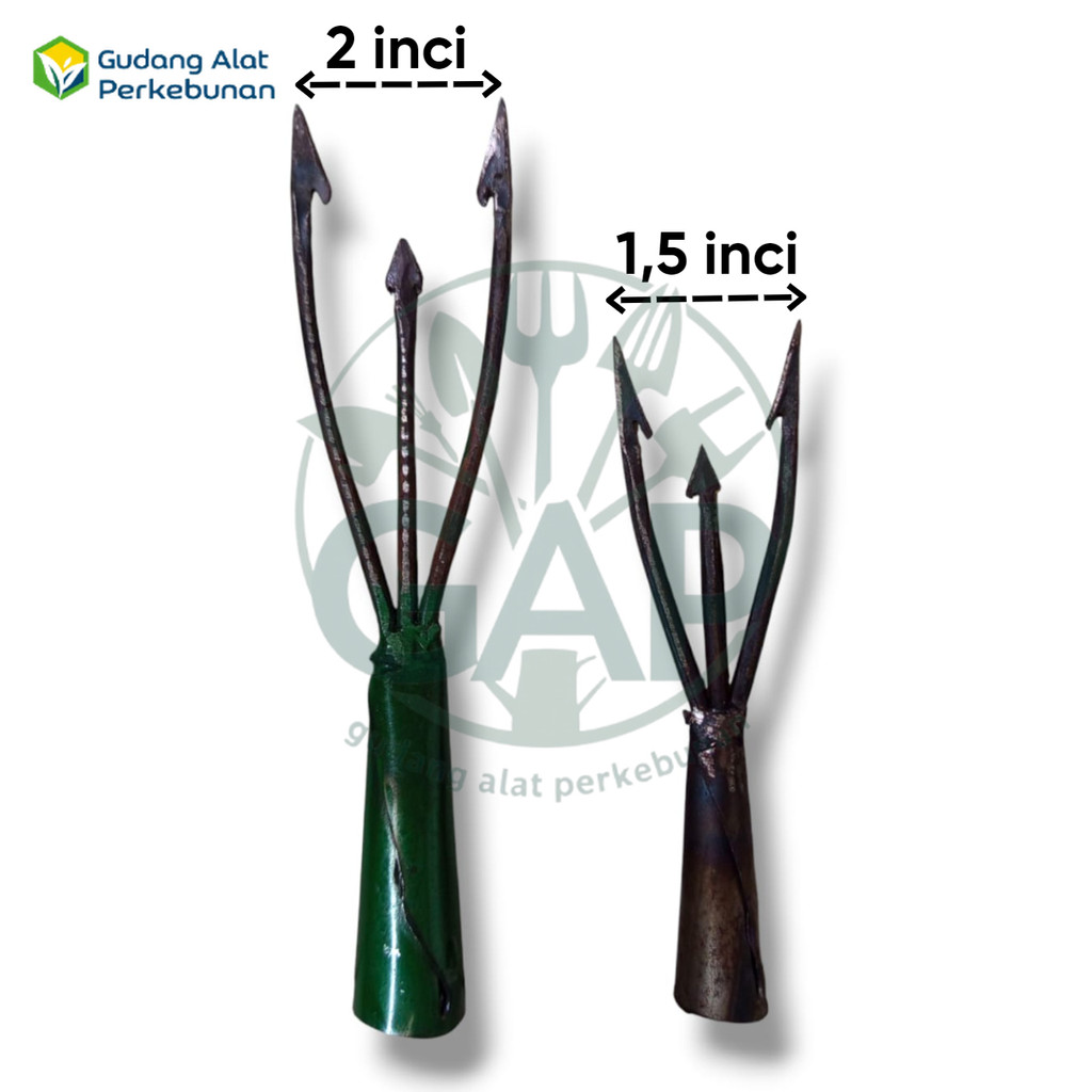 SERAMOANG IKAN,TOMBAK IKAN MATA CABANG 3