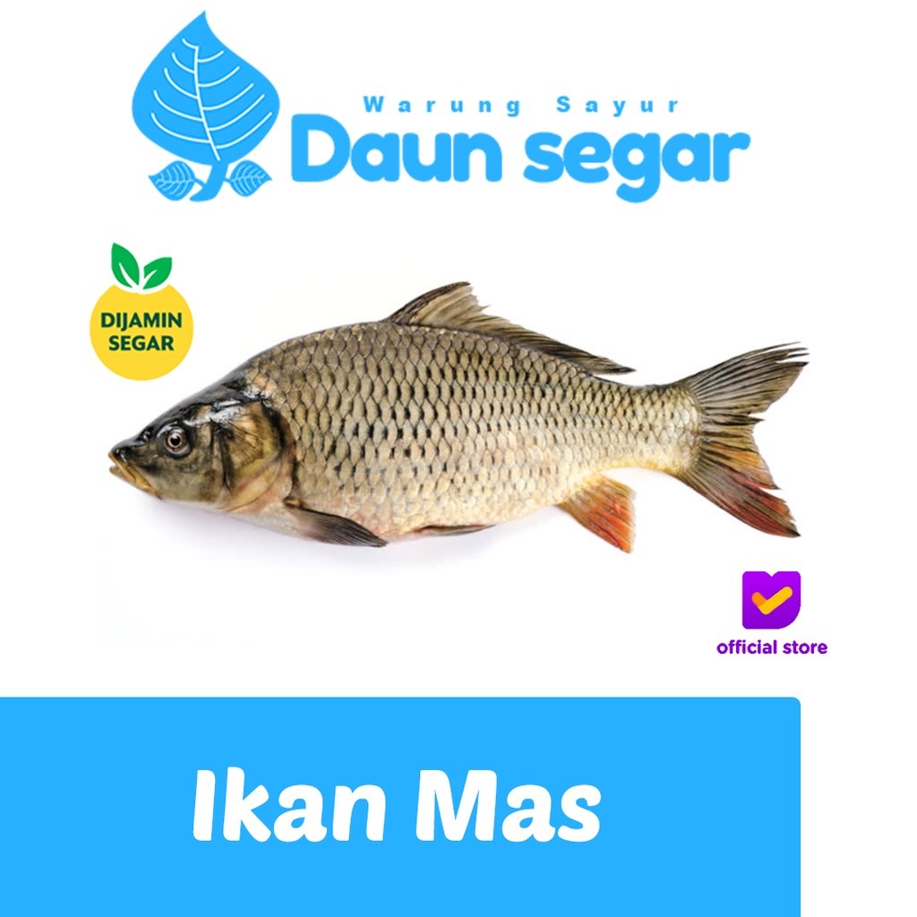 

Ikan Mas 1/2kg isi 2-3 Ekor Dijmain Fresh